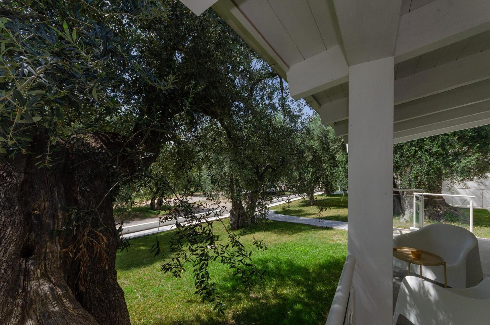 Agriturismo Giorgio Mattinata Luaran gambar