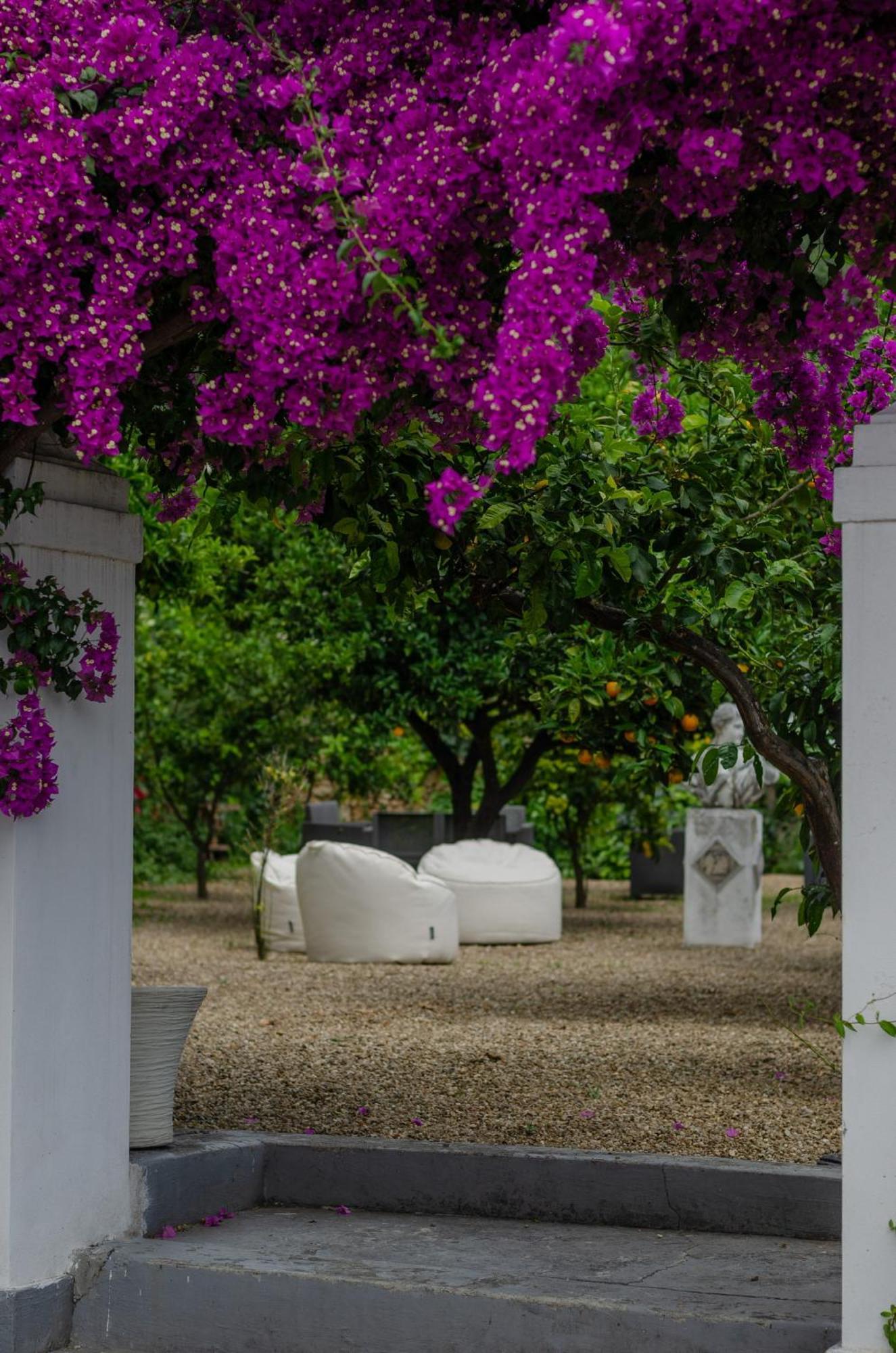 Agriturismo Giorgio Mattinata Luaran gambar
